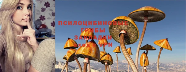 таблы Аркадак