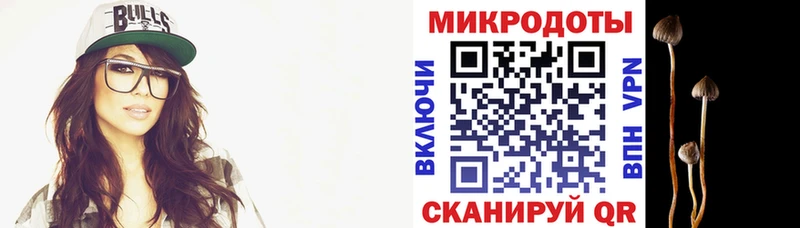Псилоцибиновые грибы мухоморы  наркота  Зеленодольск 